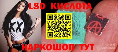 винт Новозыбков