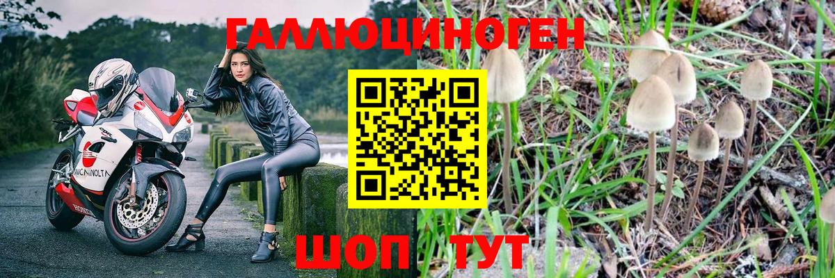 Ревда  Псилоцибиновые грибы прущие грибы  Галлюциногенные грибы MAGIC MUSHROOMS  Вход с VPN 